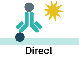 Direct ELISA with one enzyme-conjugated antibody