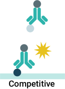 Competitive ELISA with one antibody and labelled competitor