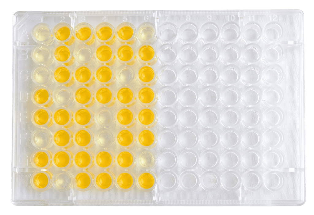 Representative image of an ELISA plate.